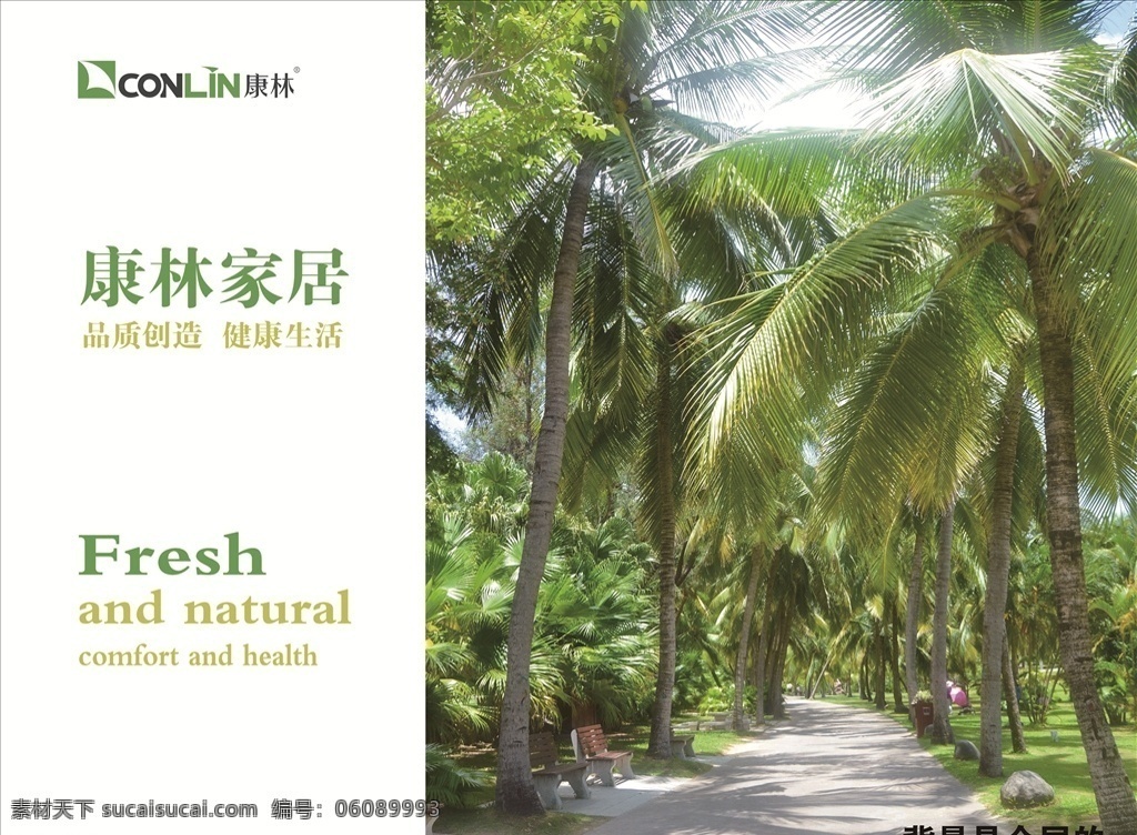 康林家居 绿色 风景图 椰子树 健康生活 自然景观 自然风光