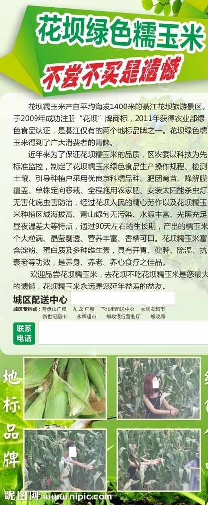 糯玉米展架 绿色 营养 健康 环保