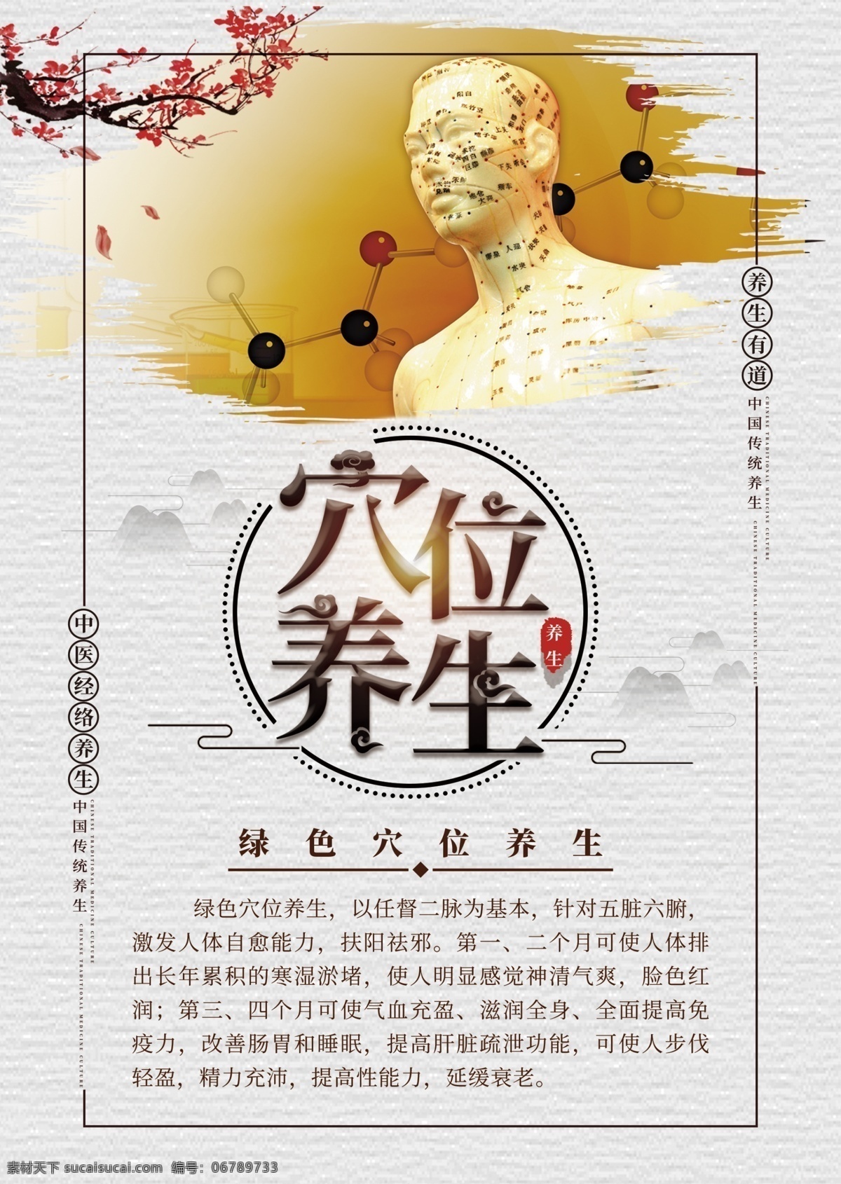 穴位养生 调理 理疗 健康 穴位 中医 保健 经络 室内广告设计