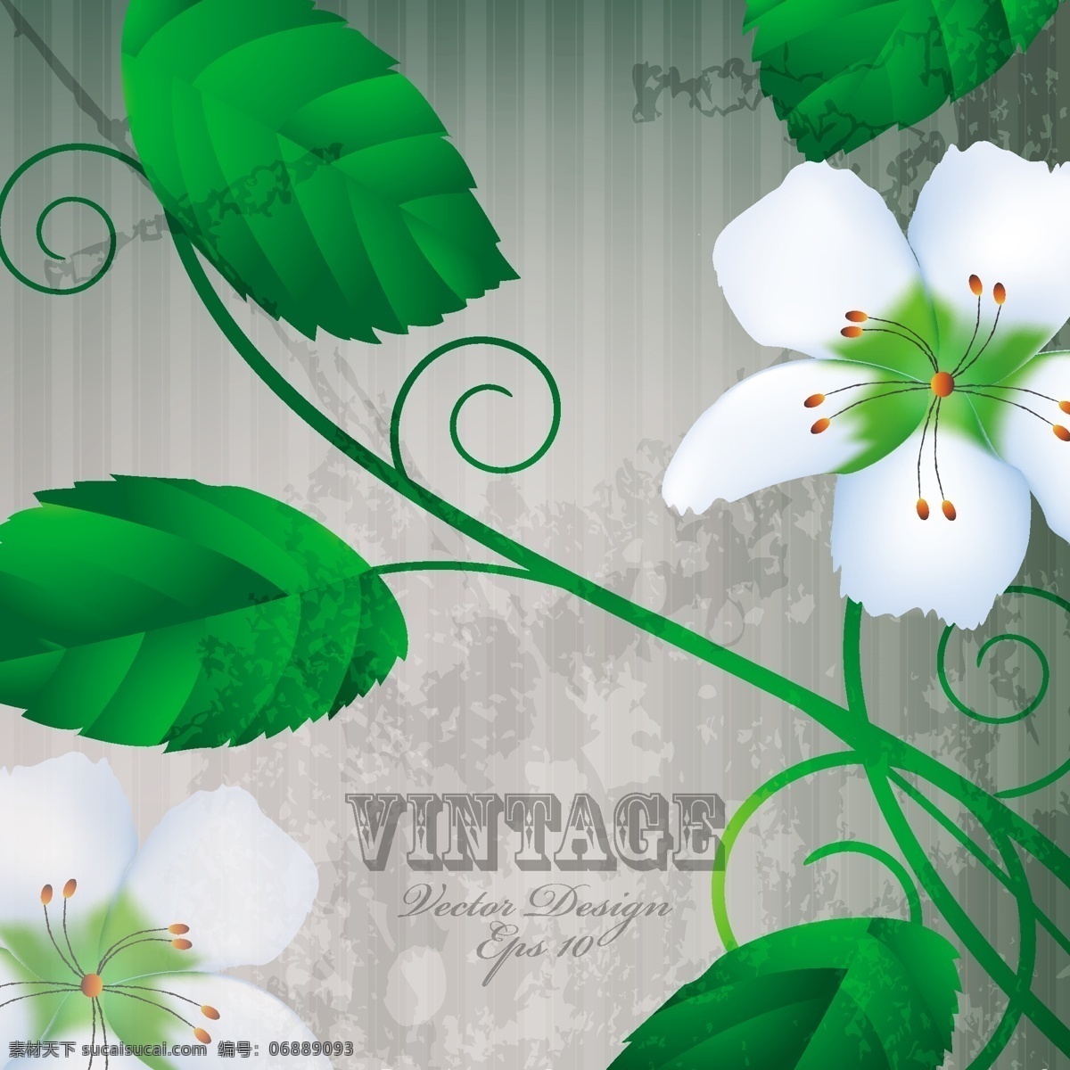 温馨 花朵 花瓣 背景 矢量图 其他矢量图