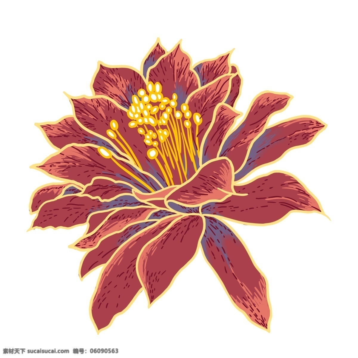 金边 热带 花卉 植物 商用 元素 卡通 手绘 复古写实 植物花卉 热带植物