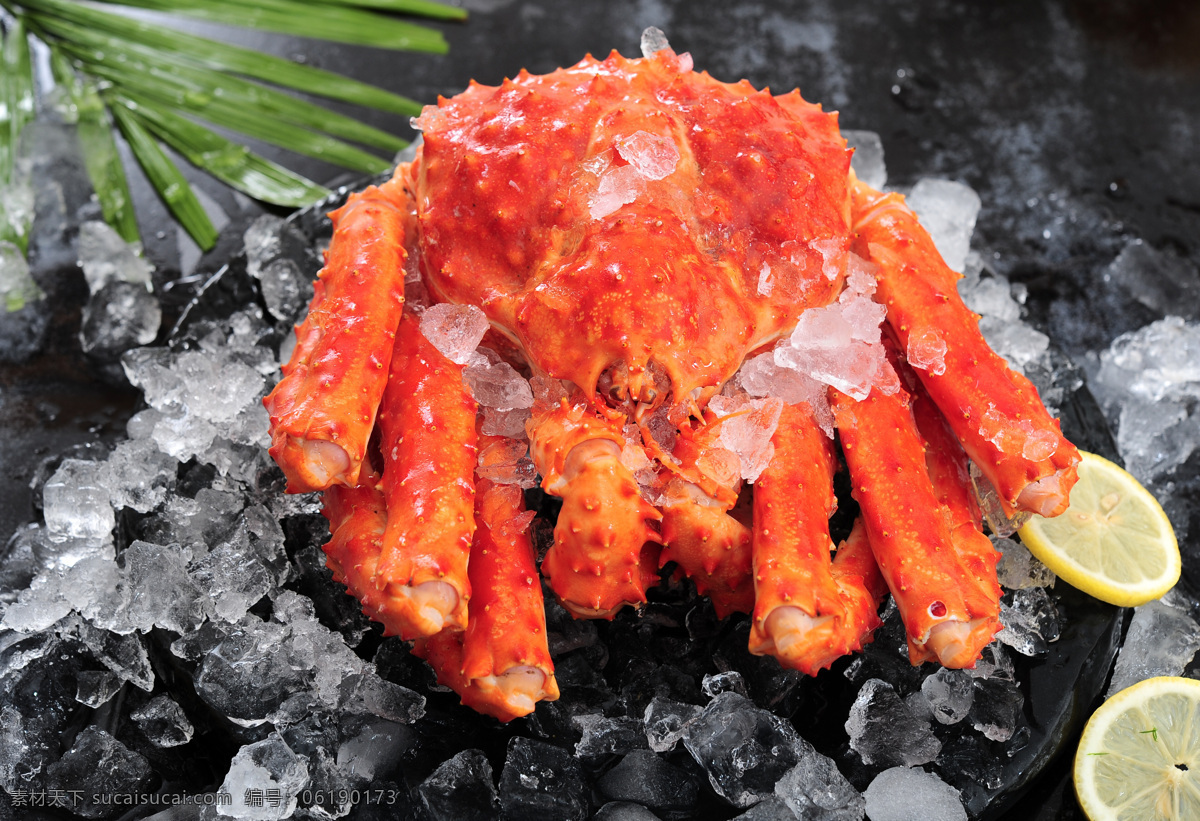 帝王蟹 大闸蟹 海鲜 螃蟹 蟹子 餐饮美食 传统美食