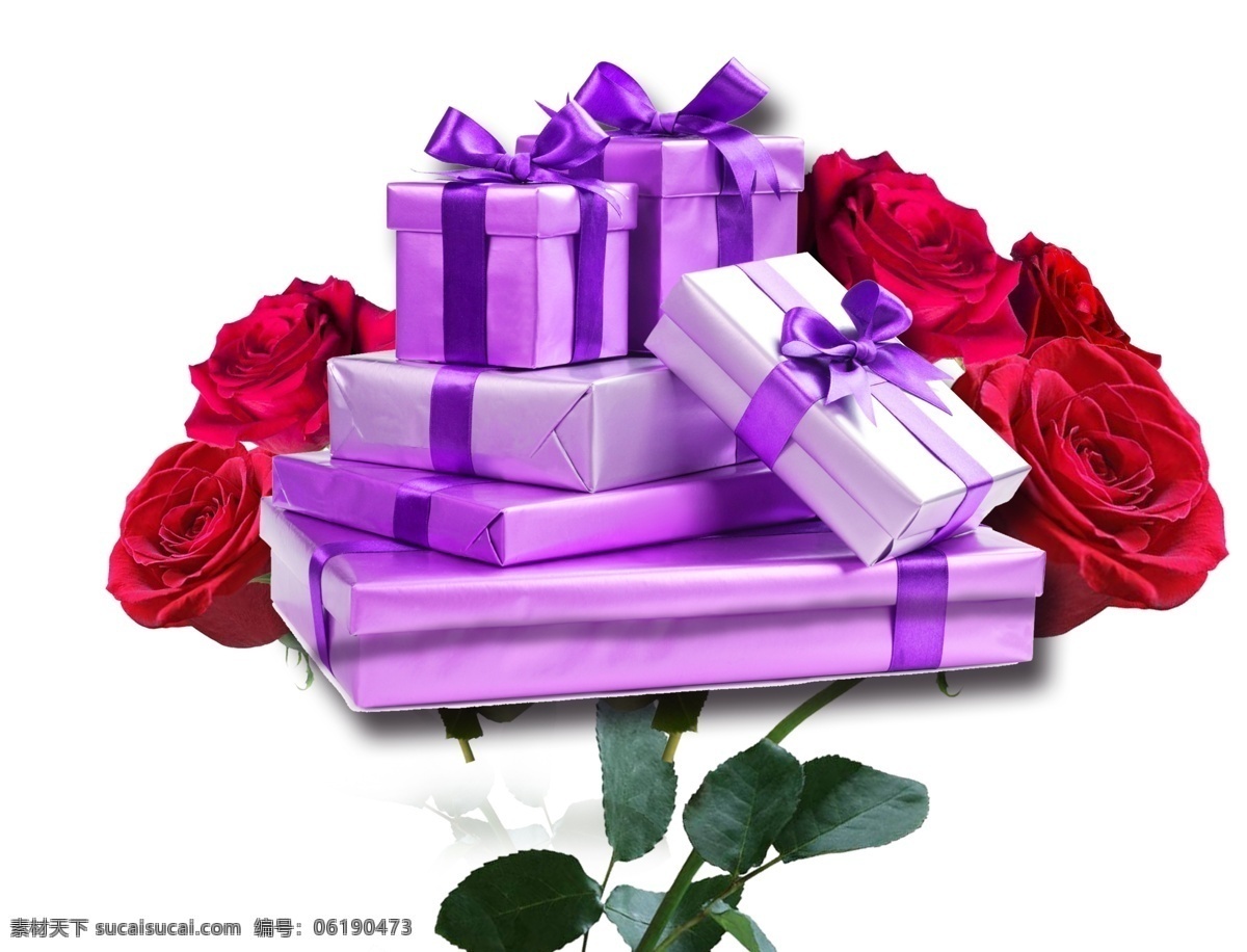 紫色 礼盒 装饰 玫瑰花 红色 大气 七夕 礼物 质感