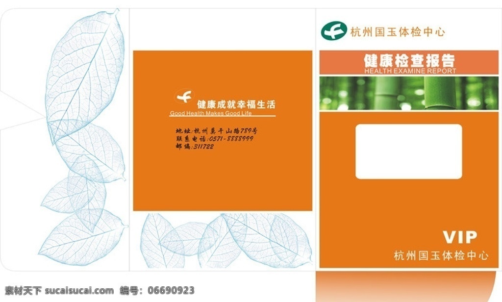 体检报告封套 封套 折页 体检 包装 黄色 封面设计 包装设计 矢量