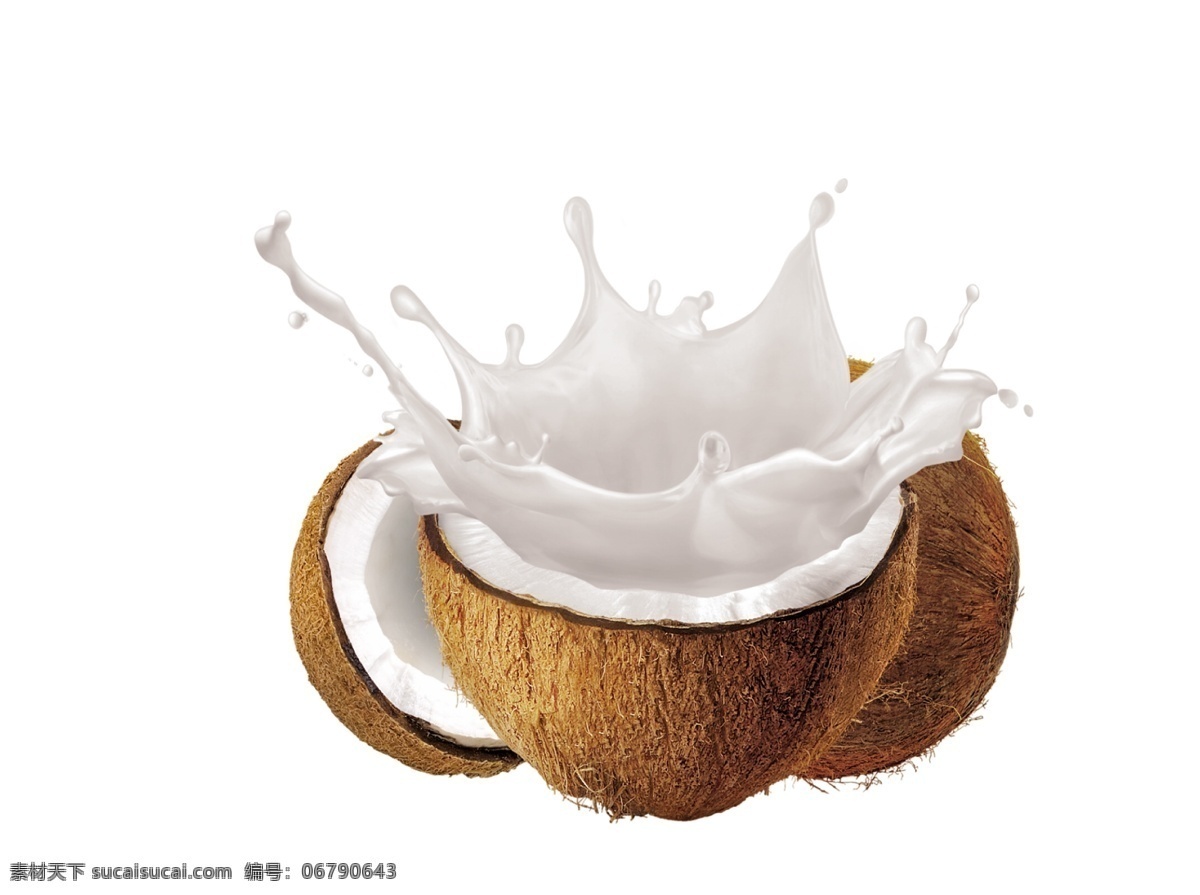 椰奶花 三个椰子组合 半个椰子 成熟的椰子 水果类 分层