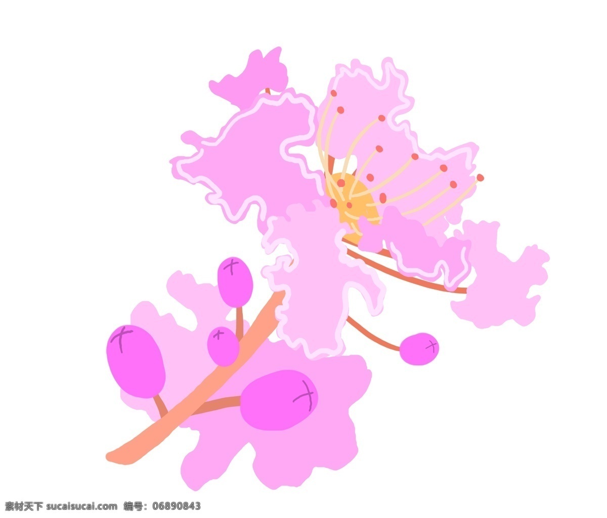 好看 花朵 植物 插画 好看的花朵 卡通插画 花朵插画 植物插画 鲜花花束 花朵装饰 漂亮的花朵