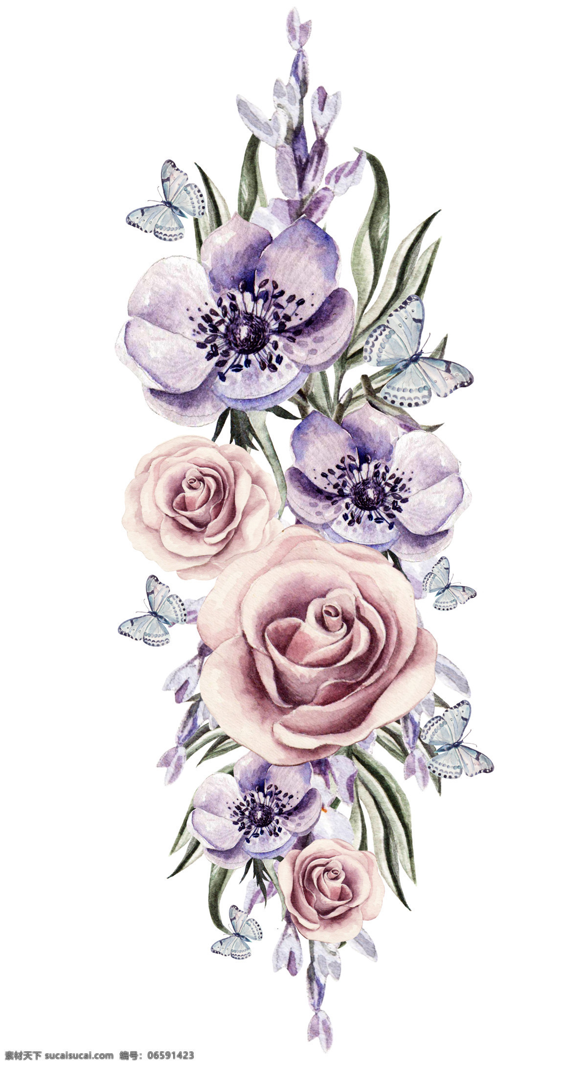 美丽 紫色 花朵 高清 高清图片 淡雅 绚丽 红色