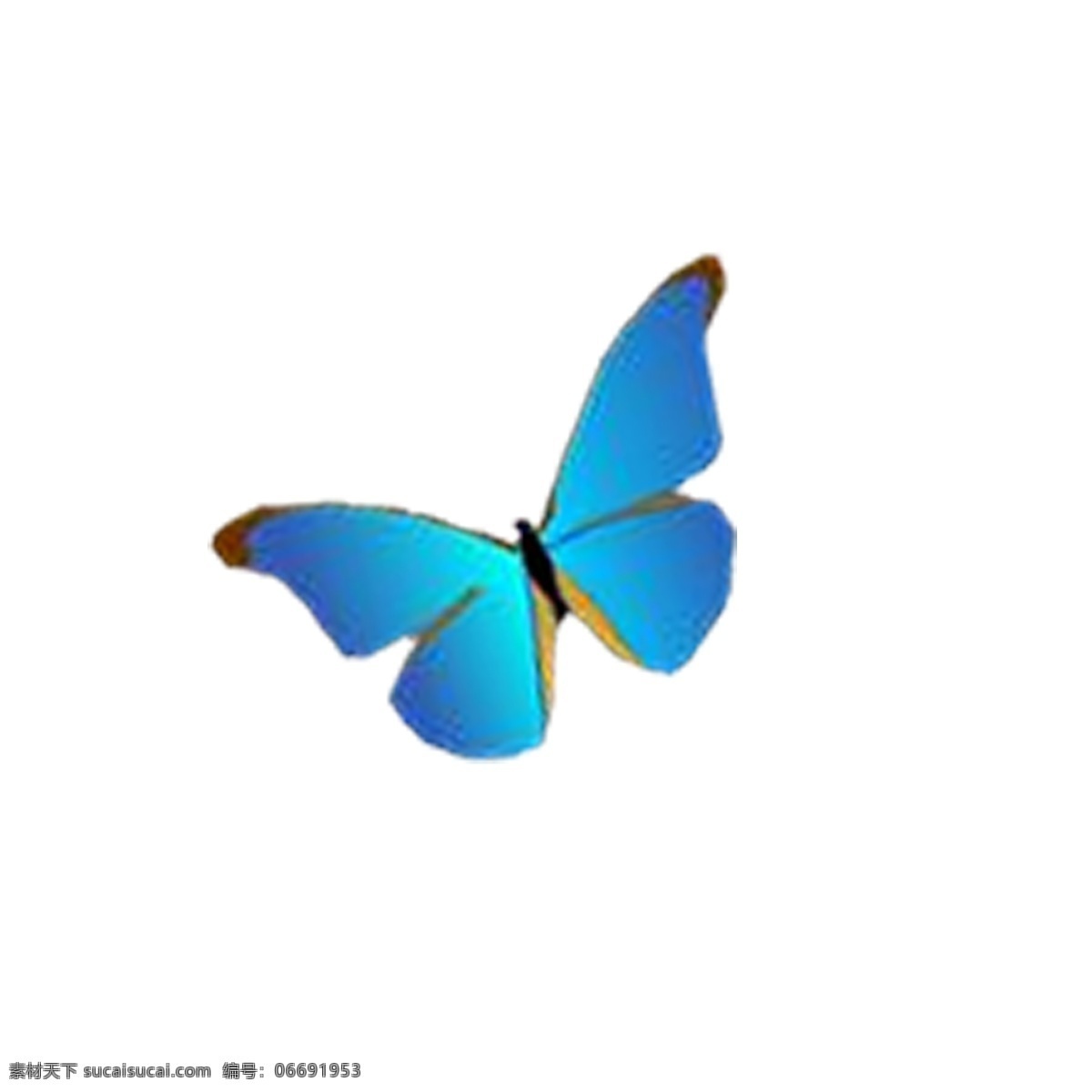 卡通 蓝色 蝴蝶 免 抠 图 卡通动物 动物插画 时尚的蝴蝶 卡通生物 免抠图