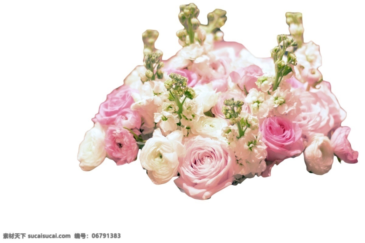 捧 花 美丽 鲜艳 多姿多彩 万紫千红 绿肥红瘦 花团锦簇 繁花似锦 香气扑鼻 五颜六色 百花齐放 绚丽多彩