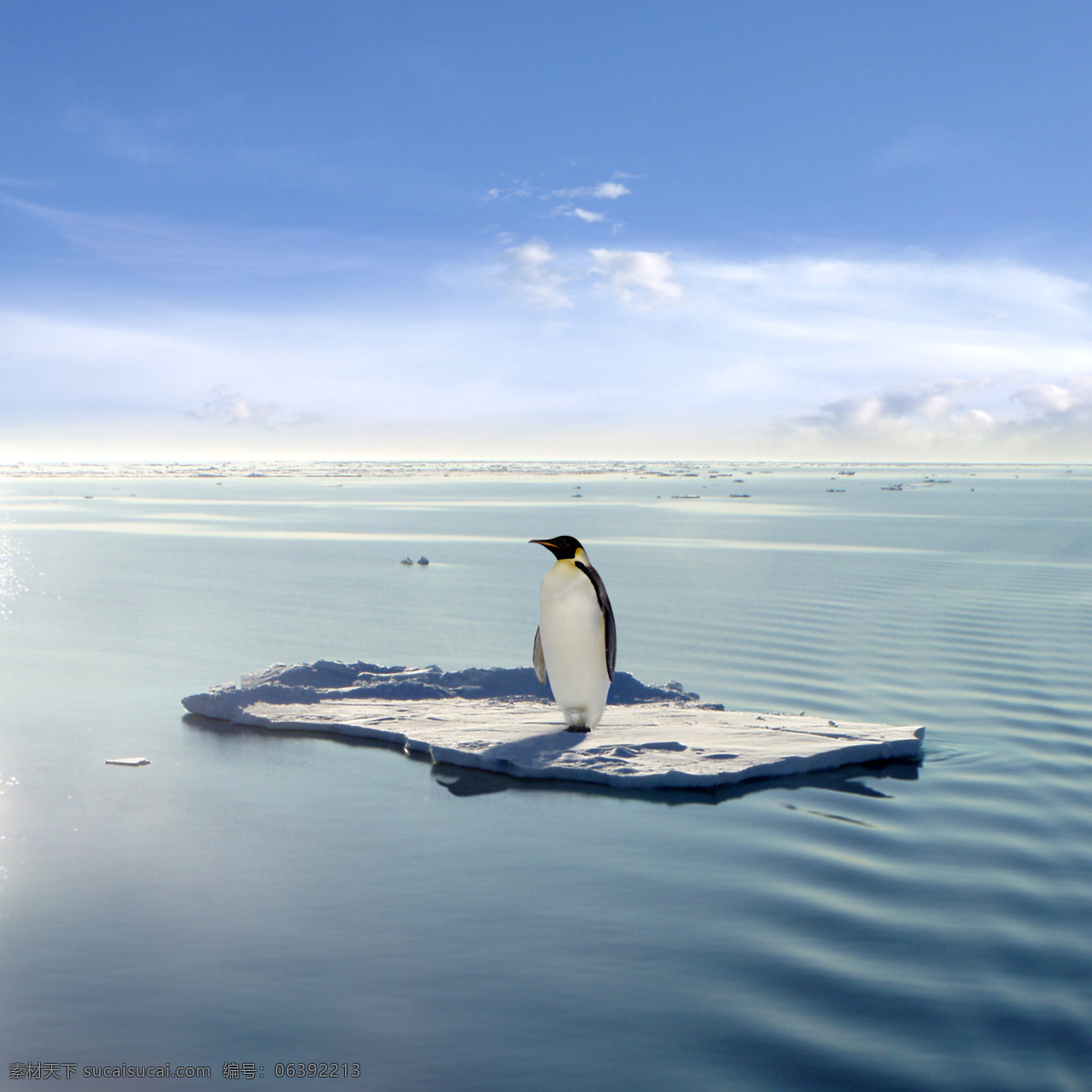 孤独 企鹅 南极 北极 冰天雪地 动物 实用图片 精美图片 印刷适用 高清图片 创意图片 自然景观 自然风景 摄影图库