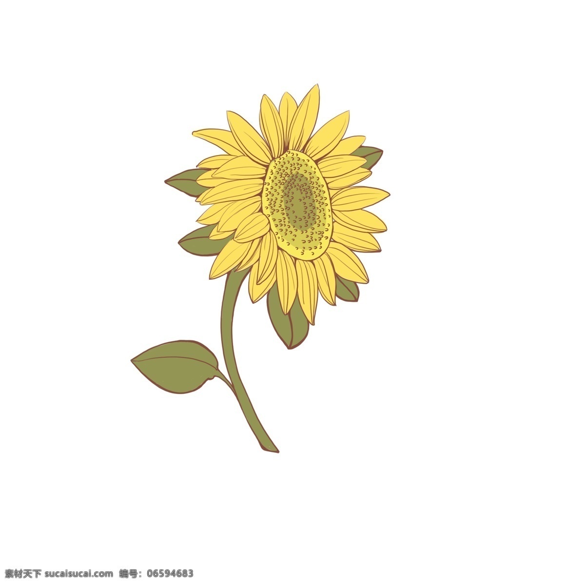 手绘 黄色 花 向日葵 商用 元素 黄色的花 绿叶 花朵