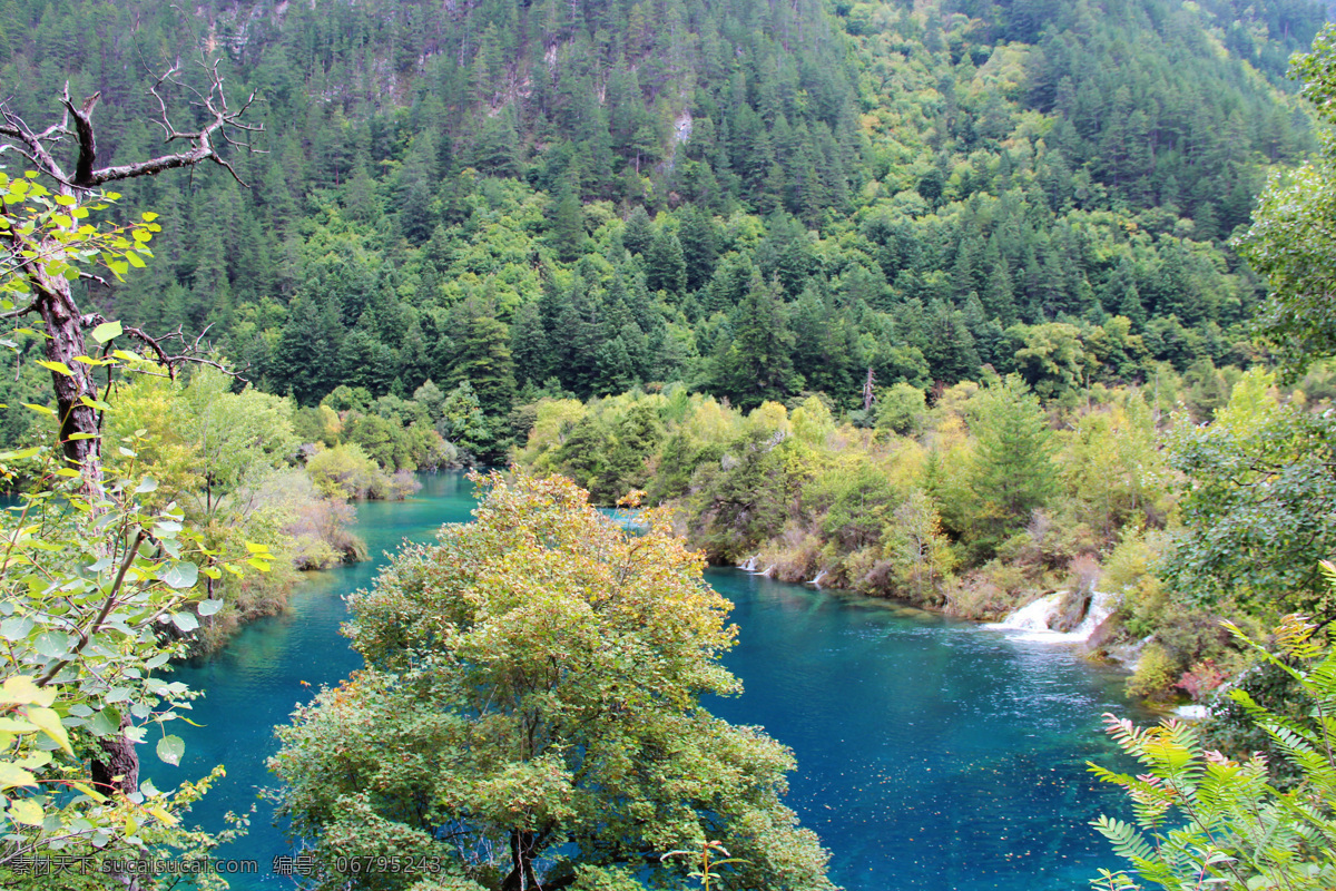 九寨沟 风景名胜 九寨沟风景 风景区 世界水景之王 碳酸盐 堰 塞地 貌 翠海 高山湖泊 叠海 彩林 雪山 藏情 世界自然遗产 国家森林公园 山水风景 人间仙境 四川旅游 湖泊 湖水 水草 枯木 草丛 树丛 树林 蓝天白云 森林公园 生态公园 自然景观
