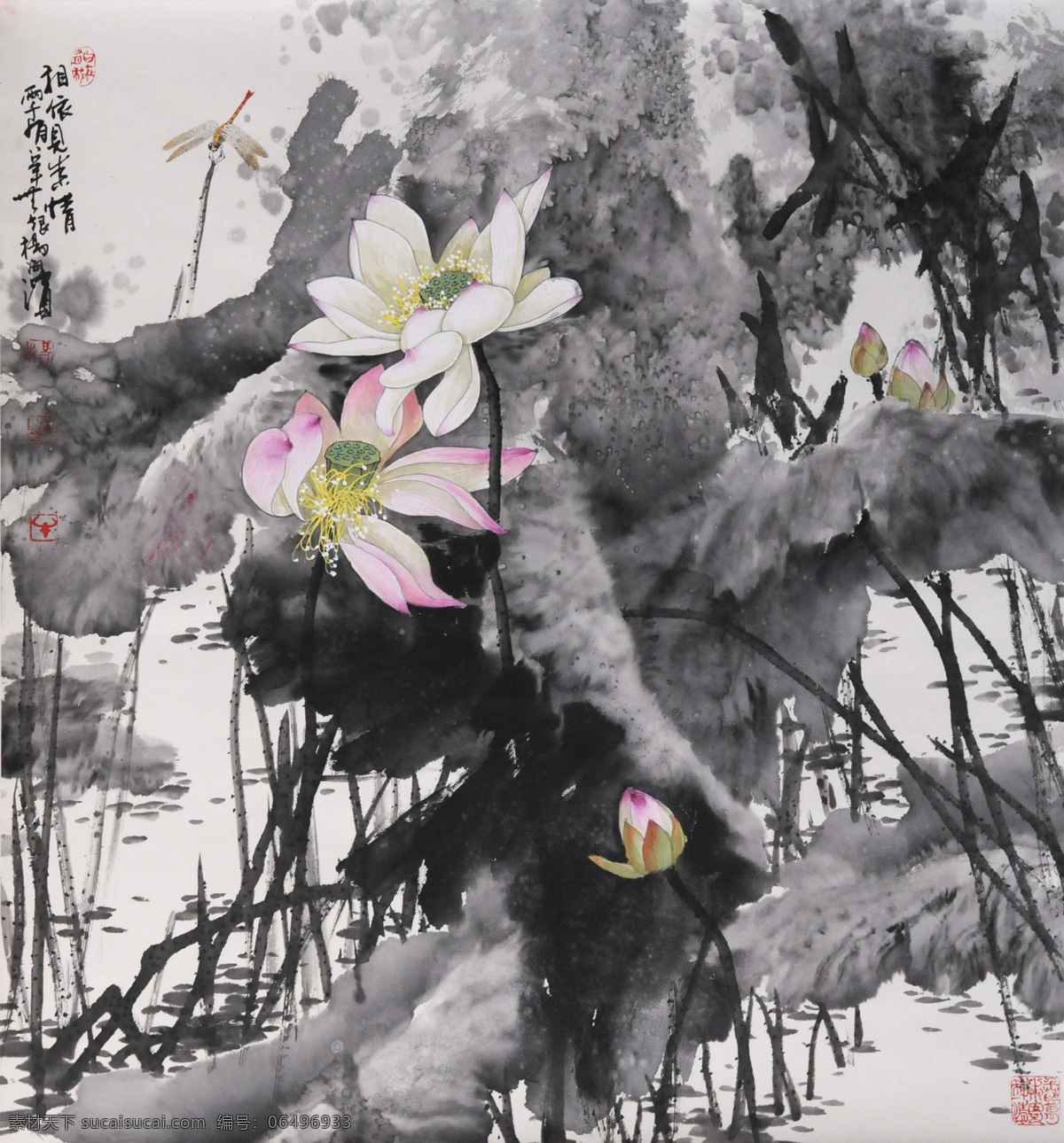中国画 相依 见 真情 国粹 荷花 荷塘 花鸟画 水墨 写意画 装饰素材 无框画