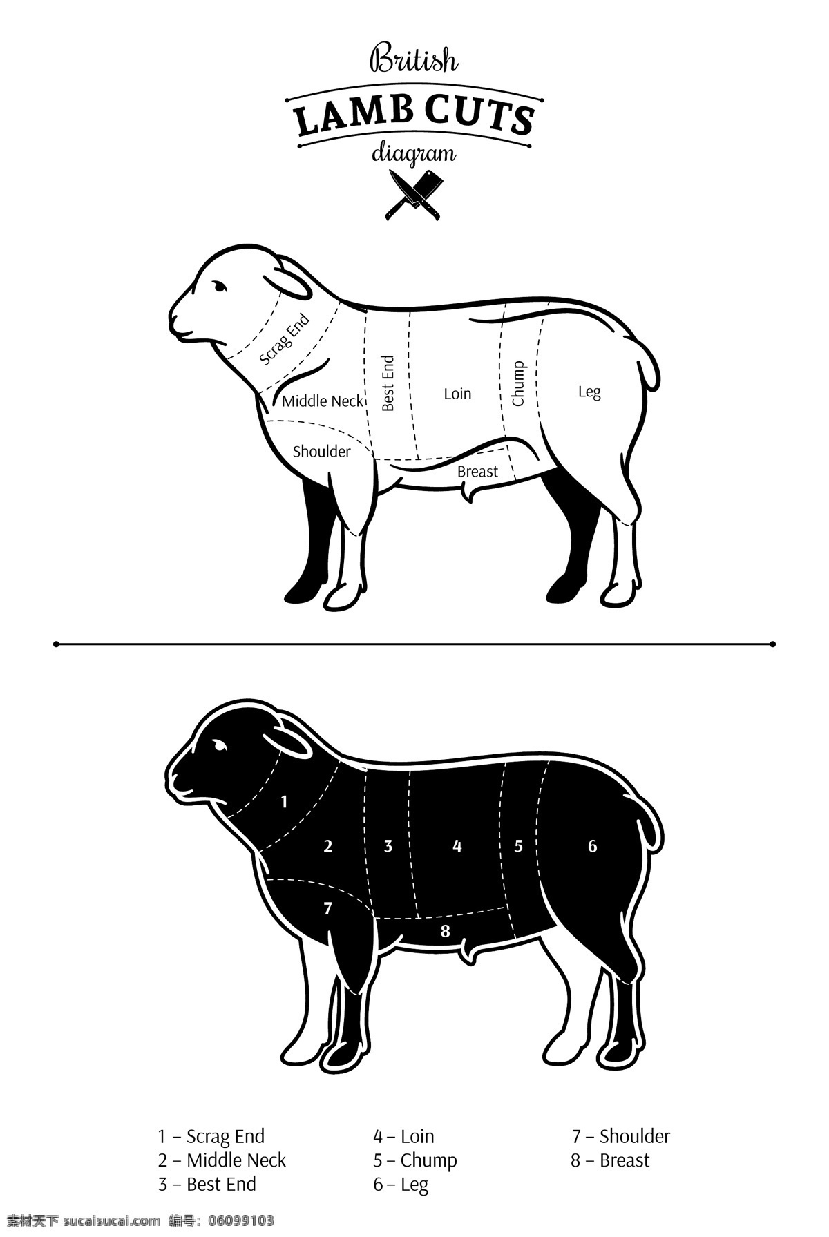 黑白 时尚 绵羊 插画 动物 卡通