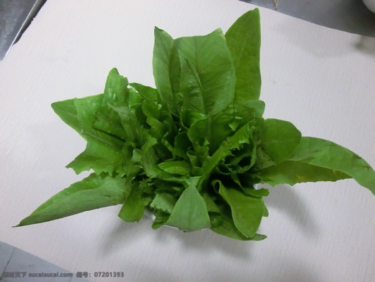 油麦 菜 餐饮美食 传统美食 青菜 蔬菜 油麦菜 摄影菜 绿色183 风景 生活 旅游餐饮