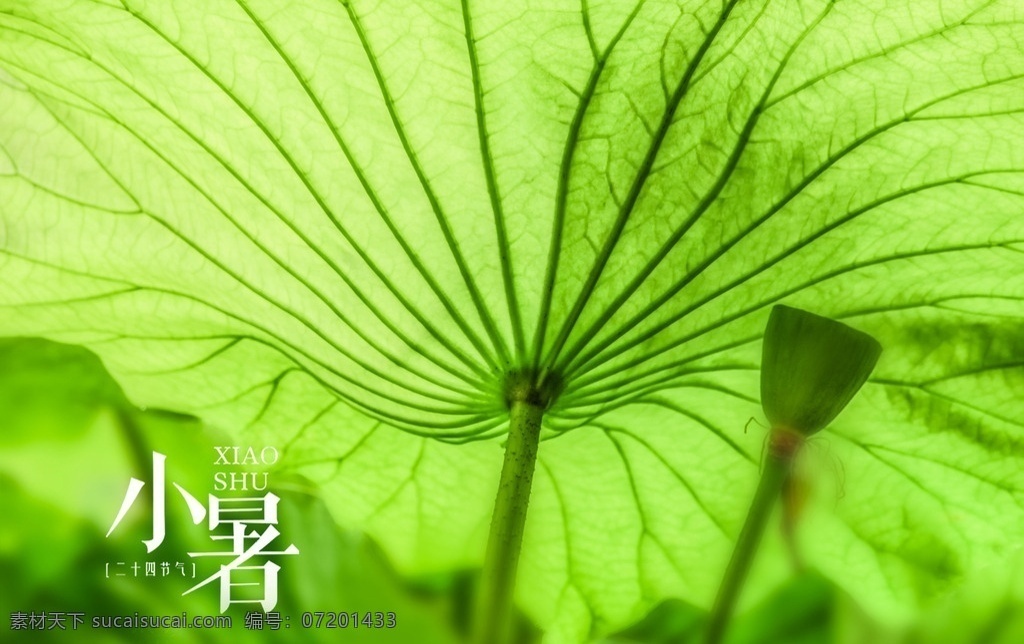 二十四节气图 二十四节气 24节气图 24节气 节气歌 立春 雨水 惊蛰 春分 清明 谷雨 立夏 小满 芒种 夏至 小暑大暑 立秋 处暑 白露 秋分 寒露 霜降 立冬 小雪 大雪 冬至 小寒 大寒 日历挂画 传统文化 文化 节气 节气文化 中国传统文化 24节气文化 节气展板