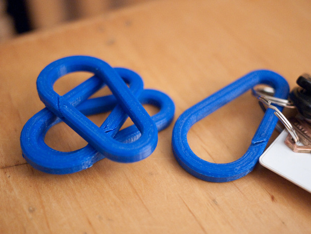 可定制的锁 定制 钥匙链 3d打印模型 艺术时尚模型 beltclip 登山扣 链 连接器 定制的挑战 关键 钥匙圈 有用