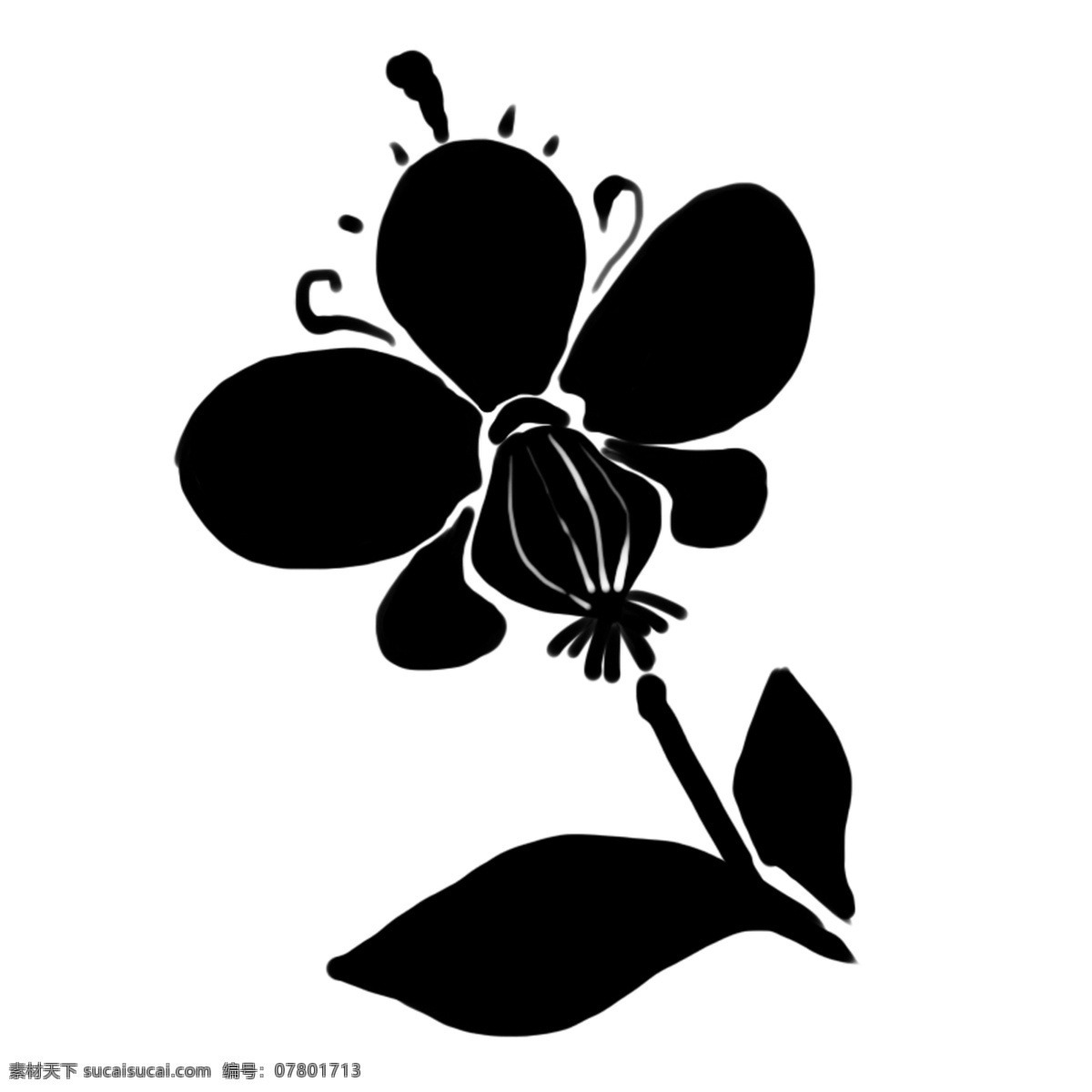 黑色 花朵 花瓣 插图 花卉 植物 花儿 黑色花儿 花 黑色花 黑色花朵 黑色花瓣花朵