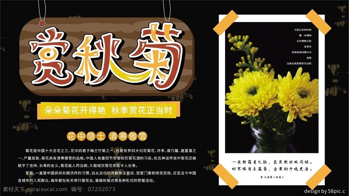 黑色 简约 赏 秋菊 节日 展板 菊花 秋季 赏花 花 矢量 花中隐士 花期