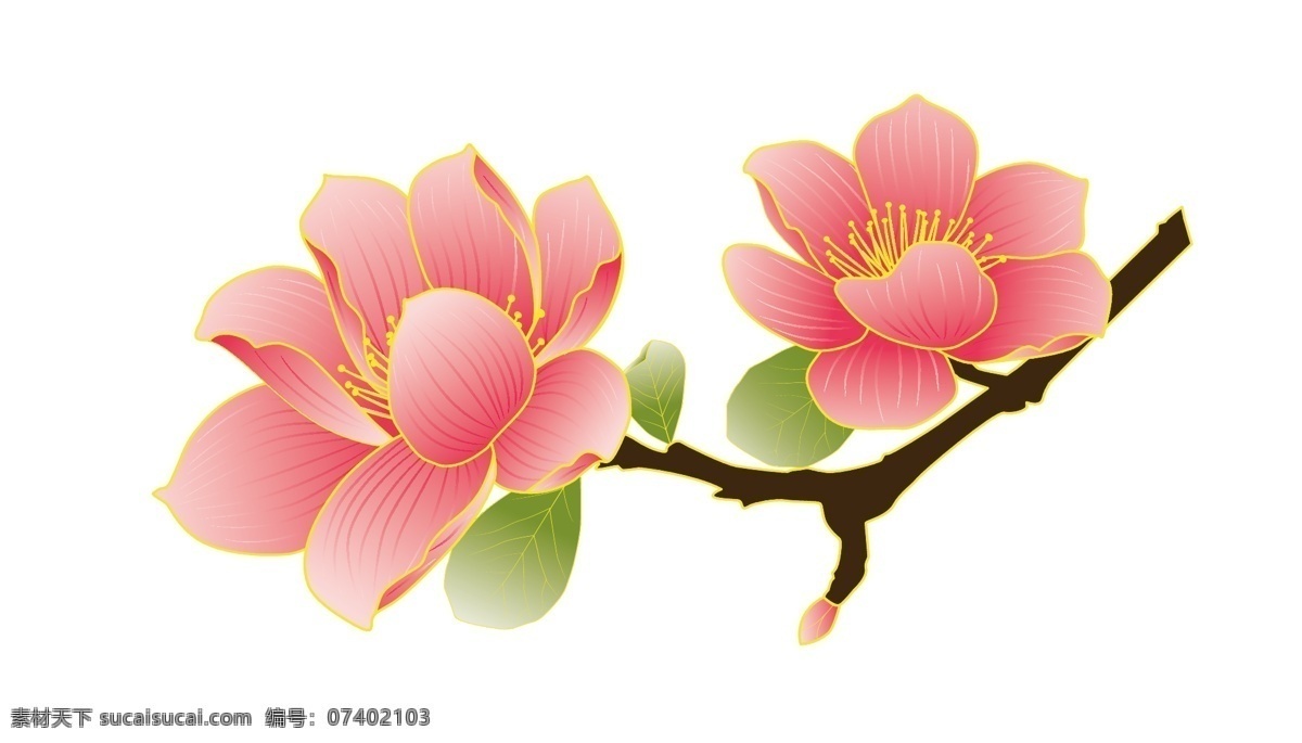 梅花 矢量花朵 手绘 玉兰花 荷花 简单 图标 底纹 高清 叶子 红色 自然 自然景观 自然风光