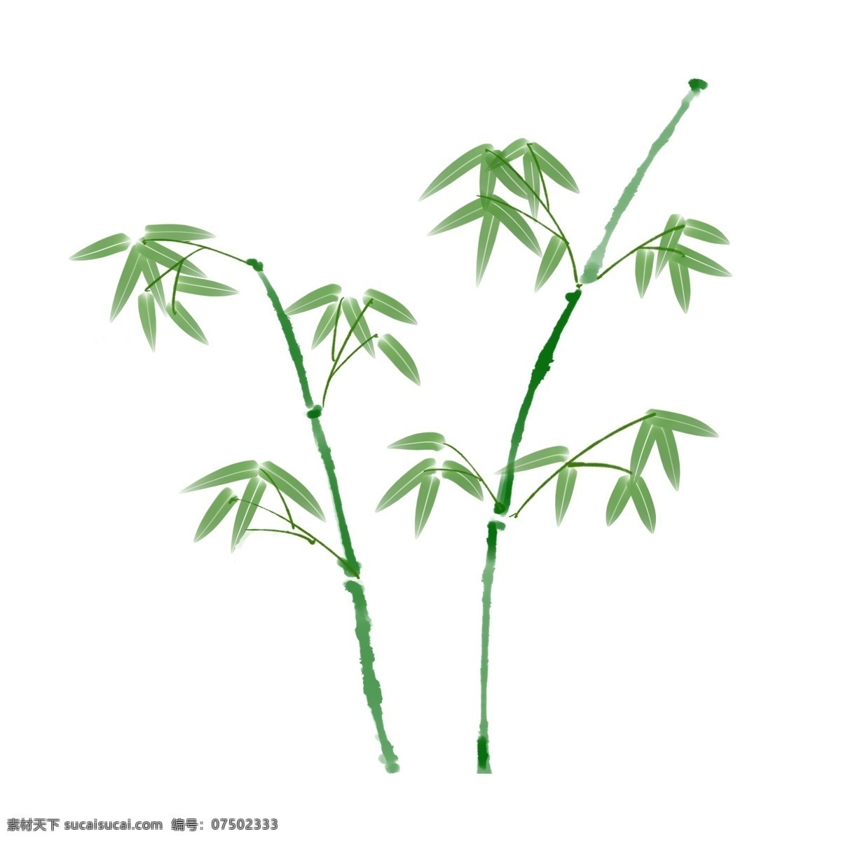 水彩 植物 绿色 竹子 装饰 图案 装饰图案