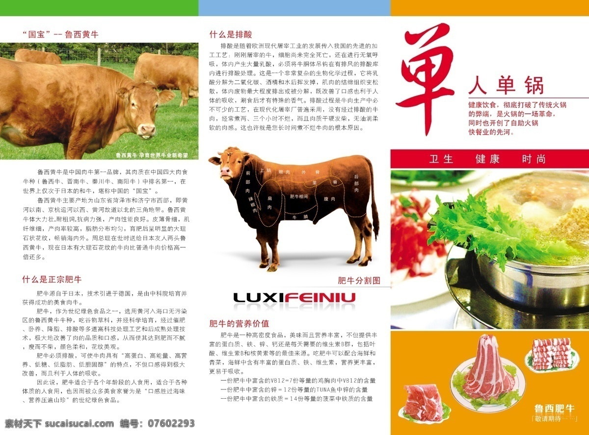 dm宣传单 肥牛 分割图 广告设计模板 锅底 牛肉 源文件库 火锅 模板下载 肥牛火锅 鲁西肥牛 肥牛分割图 psd源文件