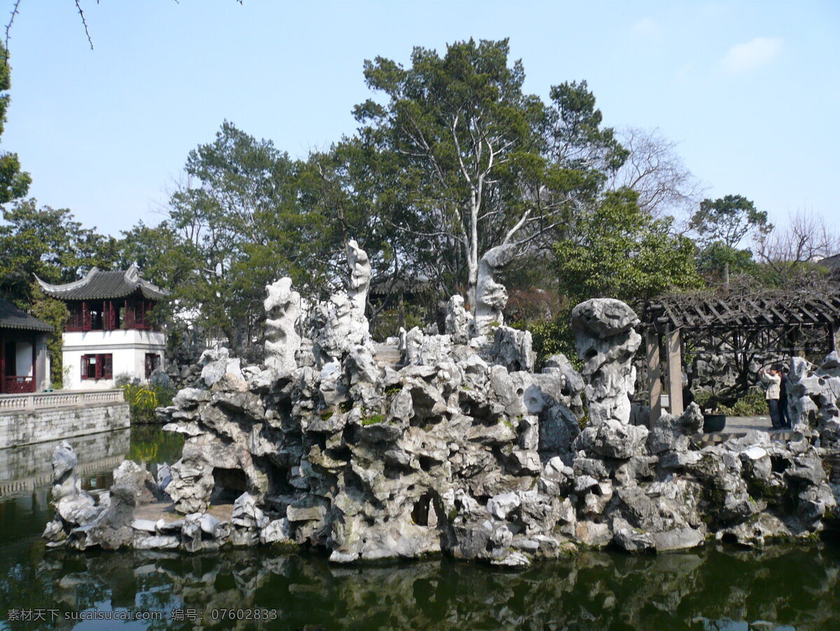苏州园林 植物 旅游拍摄 苏州 景观设计 树木 风景拍摄 园林设计 狮子林 太湖石 水池 亭子 亭台楼阁 国内旅游 旅游摄影