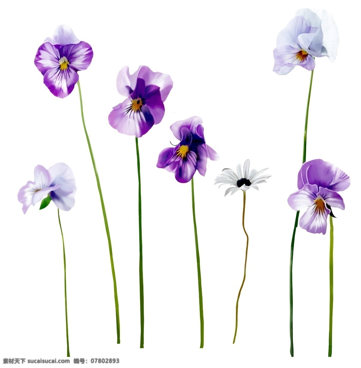 小花 枝条 紫色小花 花 组花 手绘 分层 源文件