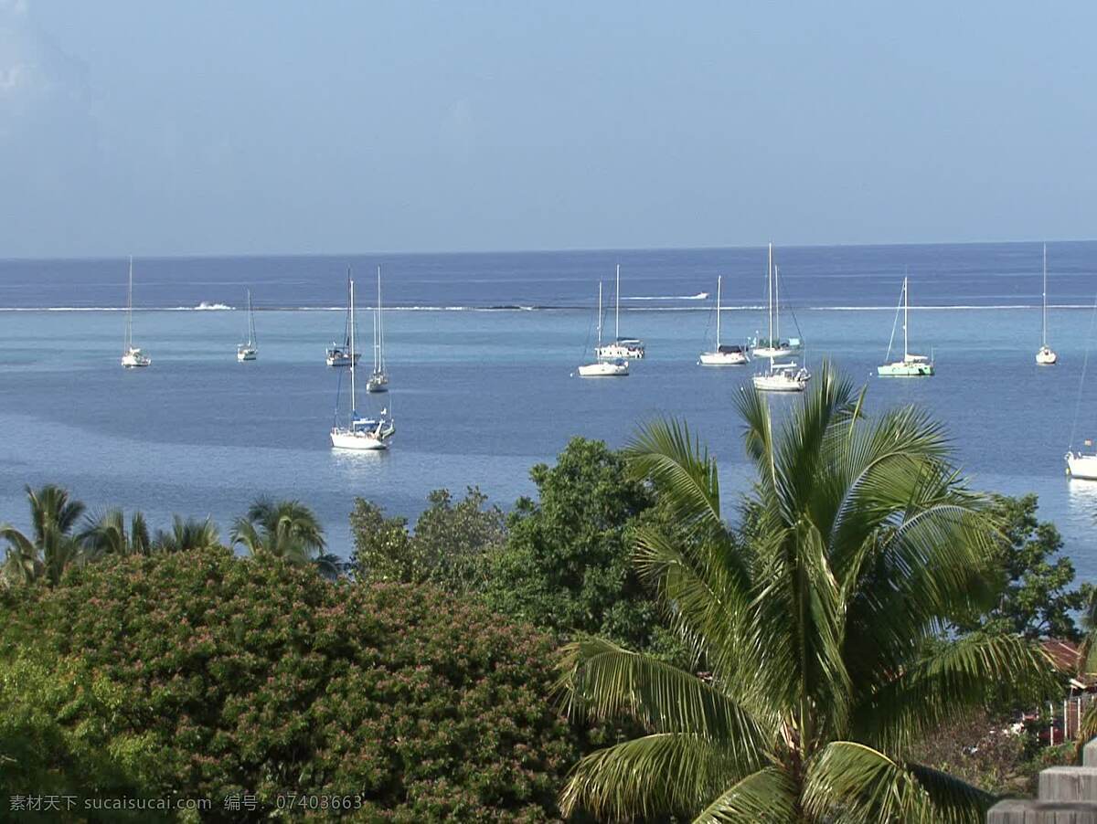 塔希提 船 股票 录像 法属波利尼西亚 岛屿 海洋 热带 海 水 海湾 帆船 珊瑚礁 波 棕榈 棕榈树 avi 灰色
