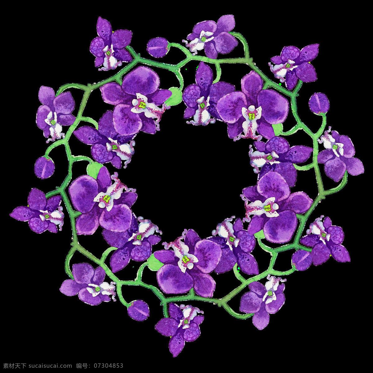 紫色 花卉 透明 装饰 抠图专用 设计素材