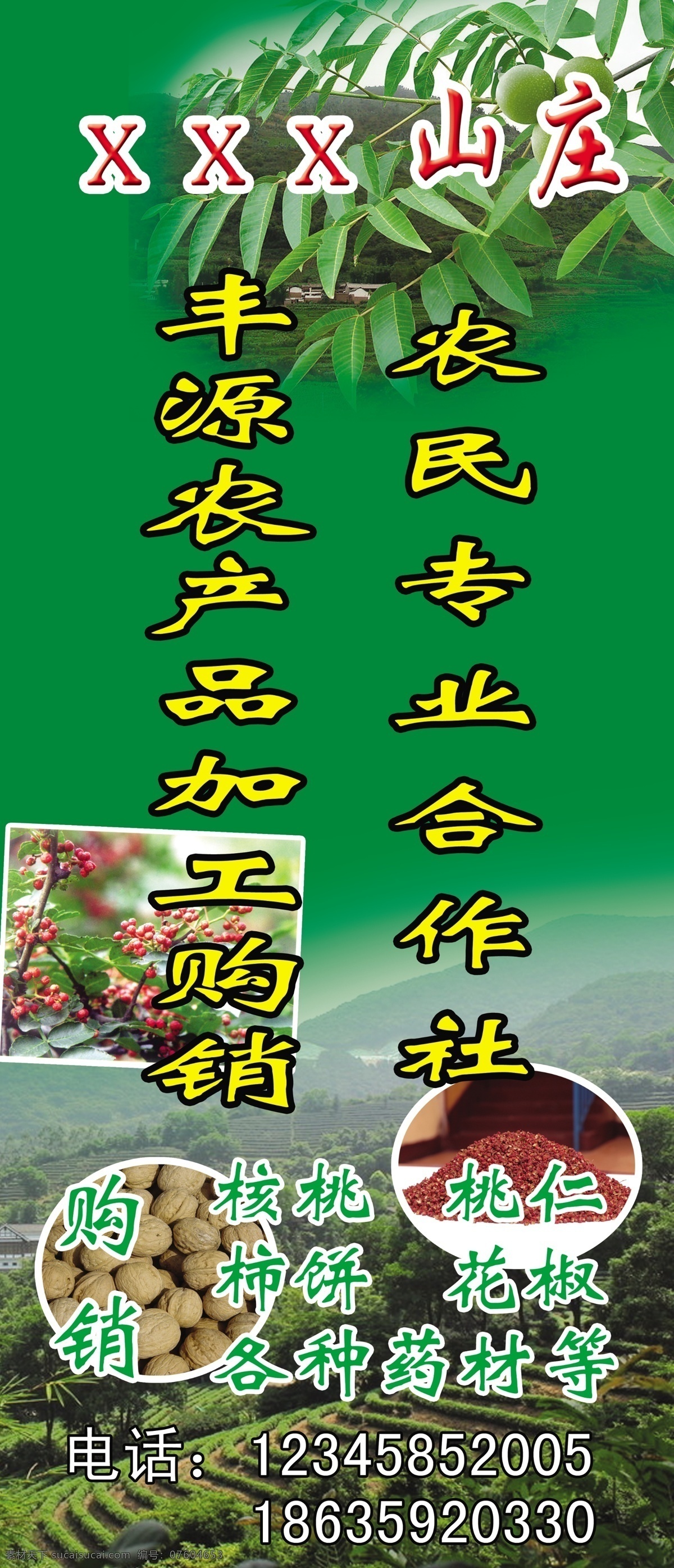 花椒 核桃 田地 农产品 核桃树 广告设计模板 源文件