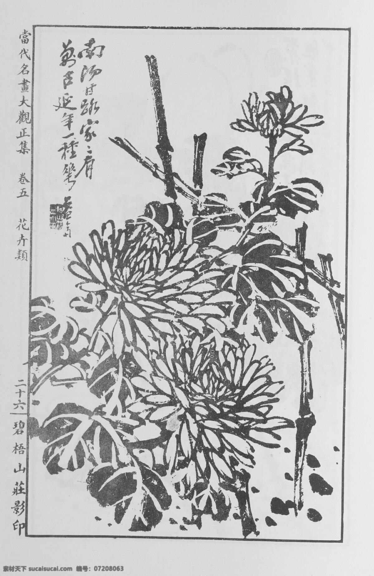 花卉画 中国画 当代 名画 大观 正 集 37 设计素材 花鸟画篇 中国画篇 书画美术 灰色