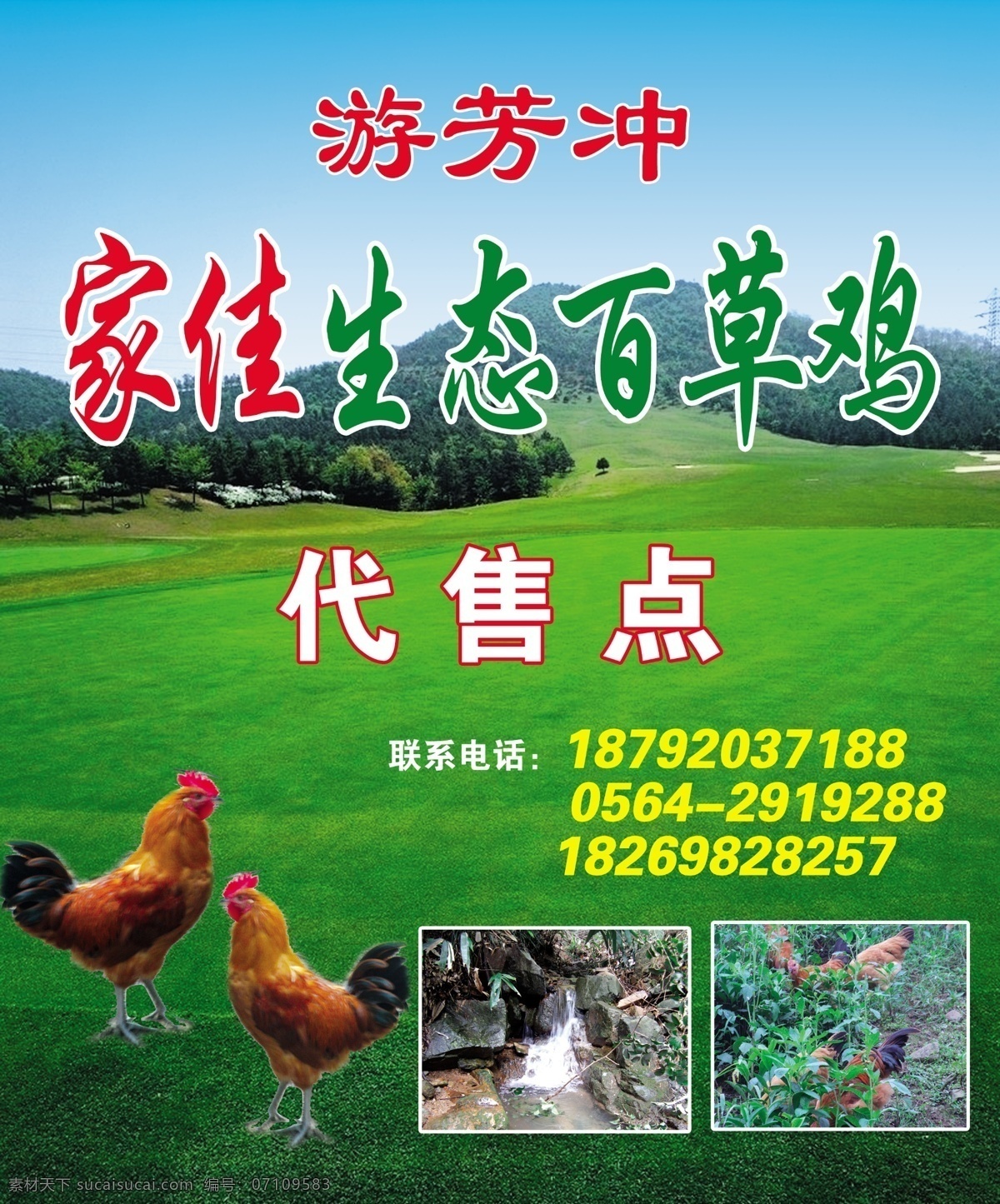 生态百草鸡 生态自然 鸡 游芳冲 草地 山峰 动物 广告设计模板 源文件