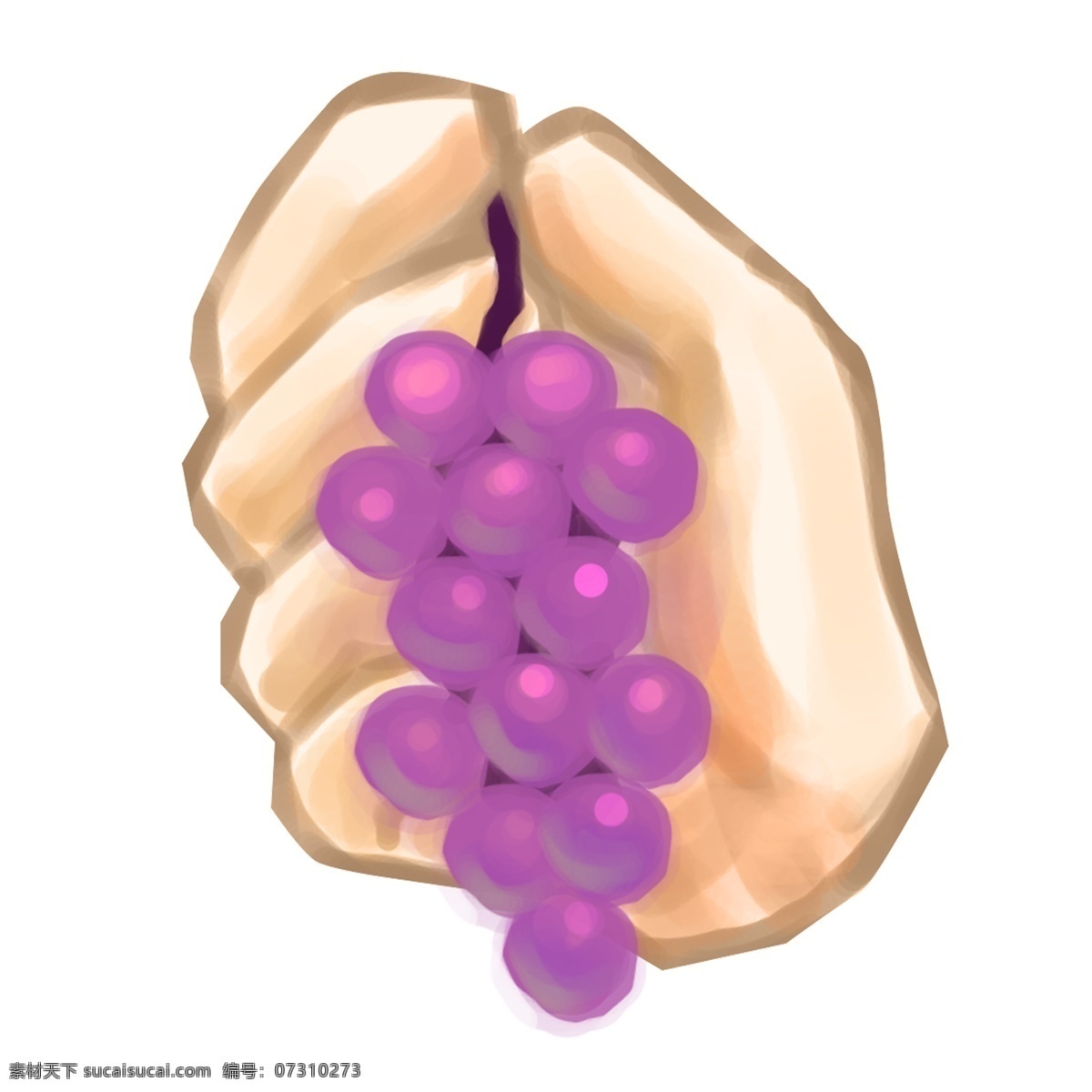 手 葡萄 卡通 手势 手持葡萄 紫色的葡萄 水果 手势插画 卡通手势插画 手拿葡萄 黄色的手掌