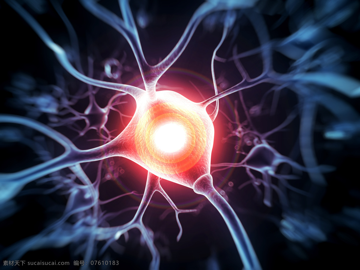 神经元 神经 触觉神经 大脑神经 医学 科技 科学研究 现代科技