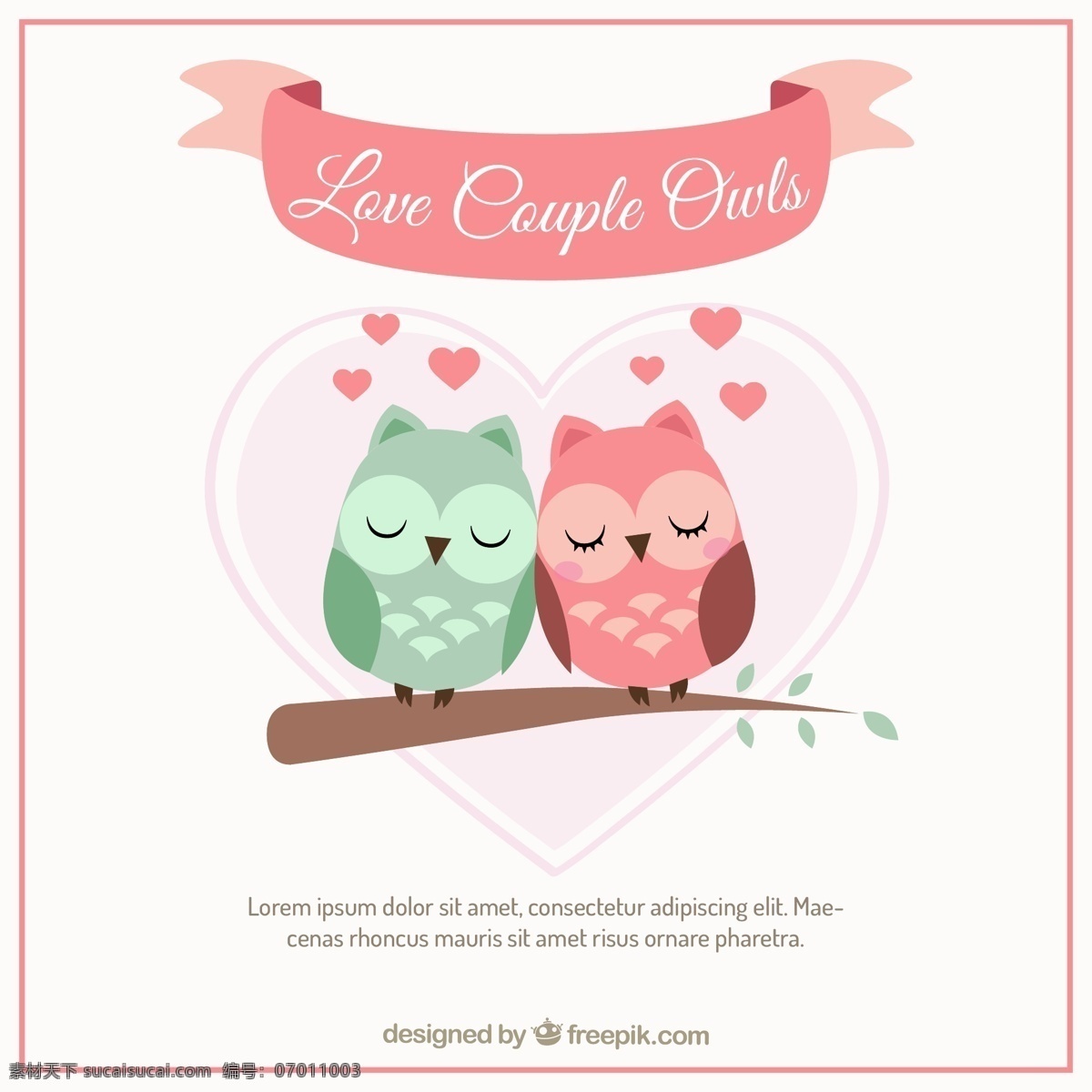 爱 猫头鹰 夫妇 心 鸟 动物 情人节 可爱 庆祝 情侣 情人 浪漫的 可爱的 美丽的 一天 浪漫 二月 浪漫主义 白色