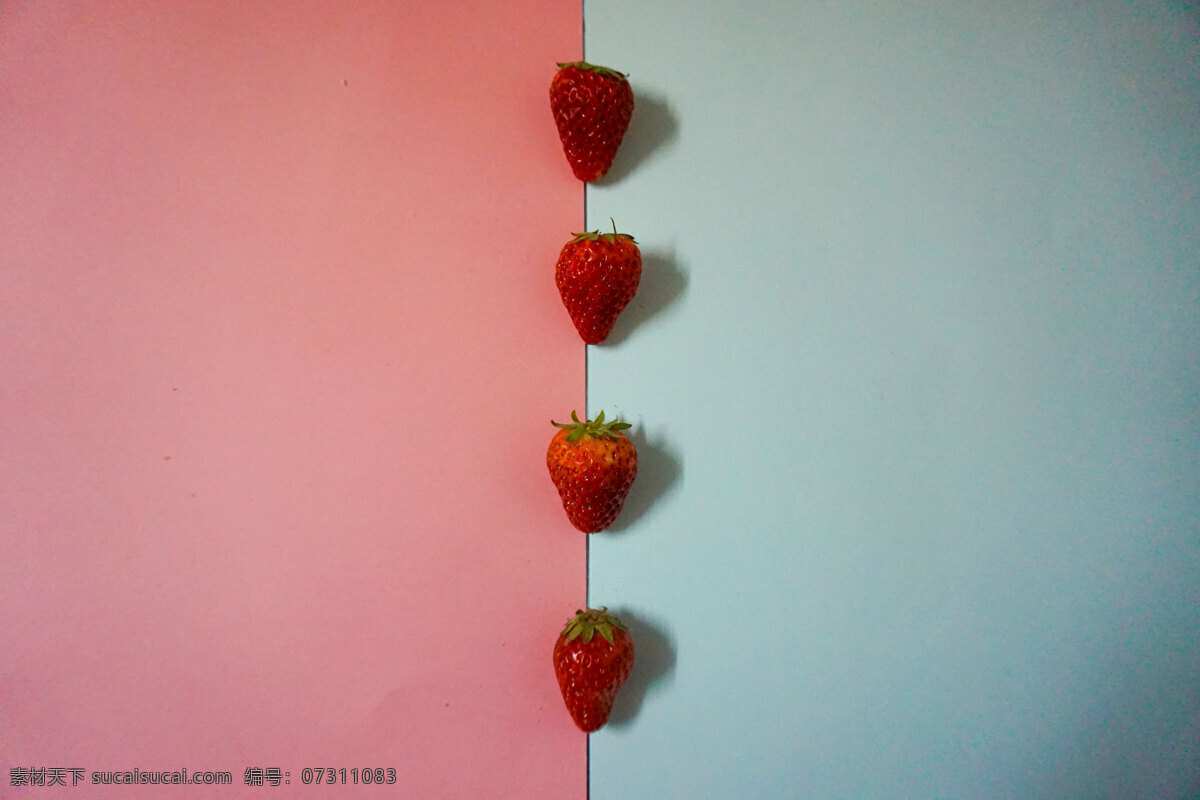 春天 草莓 水果 特写 红色 蓝色 红蓝 千库原创