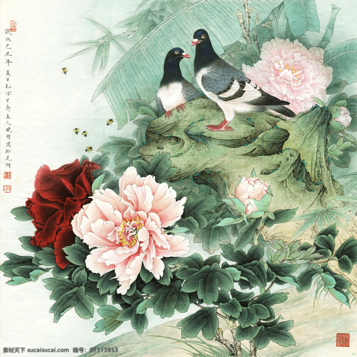 国画 工笔 牡丹 双 鸽 手绘 花卉 白色