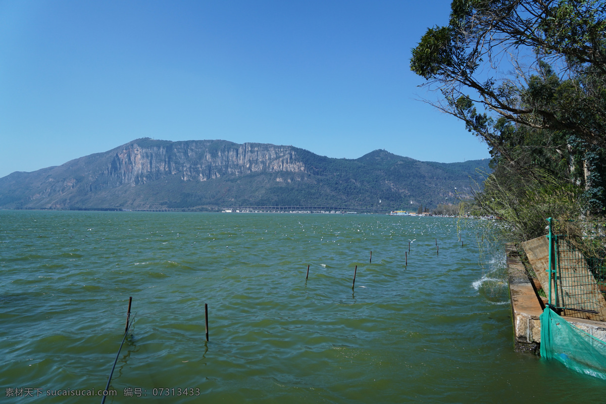 昆明 滇池 风景 海埂公园 水面 树 云南 旅游 湖泊风光 自然风景 旅游摄影 国内旅游