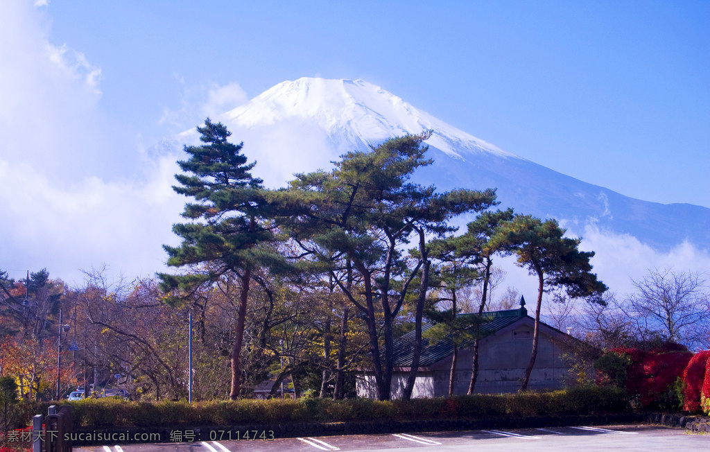 富士山 景区 秋天 日本 树林 风景 生活 旅游餐饮