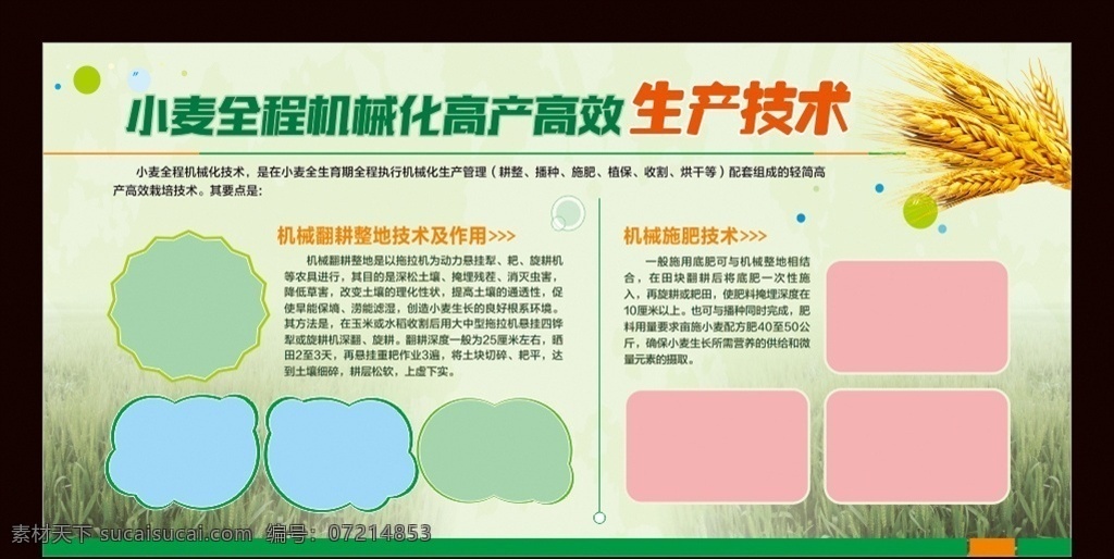 农业小麦 小麦展板 小麦海报 宣传栏 专业合作 建设现代农业 发展生态农业 小麦种植 小麦种子 农民 麦田 花生 小麦 天空 农业背景 科技农业 生产技术 小麦五谷杂粮 大麦 谷物 粮食 粮食展板 绿色产业 农业宣传栏 农业发展 农产品 丰收 稻子 农田 收割机 精准扶贫 扶贫攻坚战