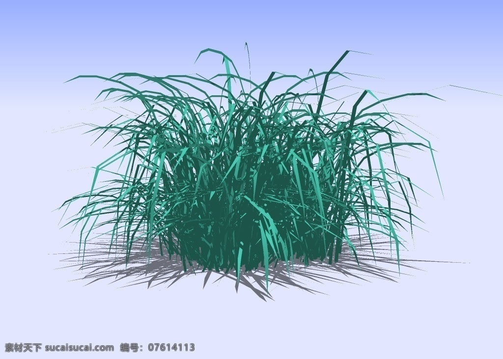 花草3d模型 茅草 绿叶 植物 三维 立体 skp模型 poss 造型 经典 装饰 精模 3d模型精选 其他模型 3d设计模型 源文件 skp