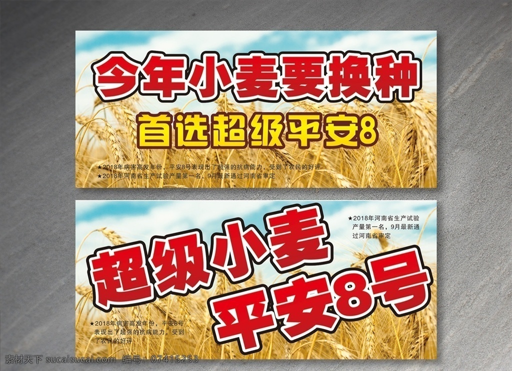 平安8号 农产品 小麦 超级小麦 小麦种子 小麦换种