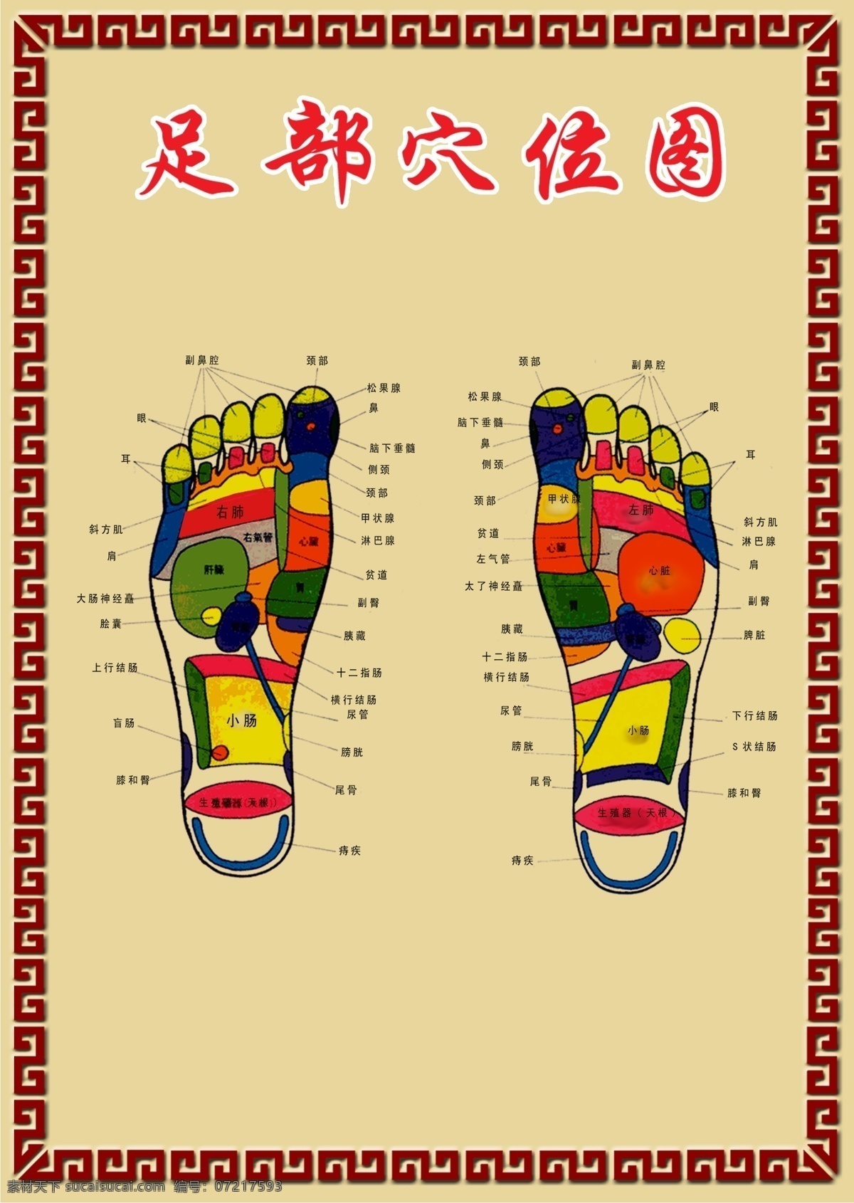 足部穴位图 穴位图 脚底 按摩 足疗 万字花边 海报