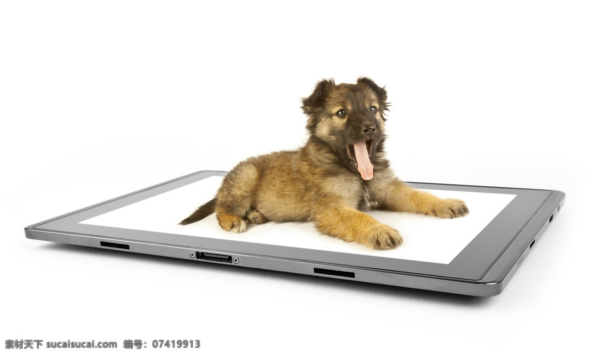 ipad 电脑 平板电脑 苹果 数码产品 现代科技 设计素材 模板下载 触屏电脑 手机 app