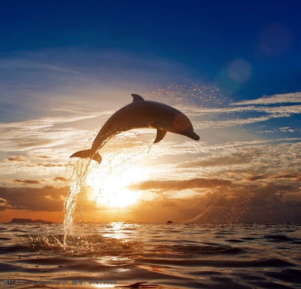 海豚素材 海豚 海洋 大海 灵敏 海豚跳跃 阳光 水珠 生命 海浪 浪花 跳跃鱼 鱼跃 平静 海面 可爱 快乐 飞跃 跃出海面 黄昏 夕阳 晚霞 鱼类 生物世界