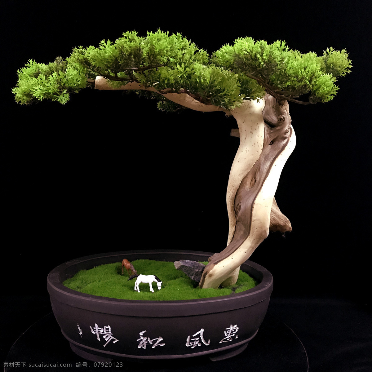 崖柏盆景 太行崖柏 摆件 装饰 家居 办公 生物世界 花草