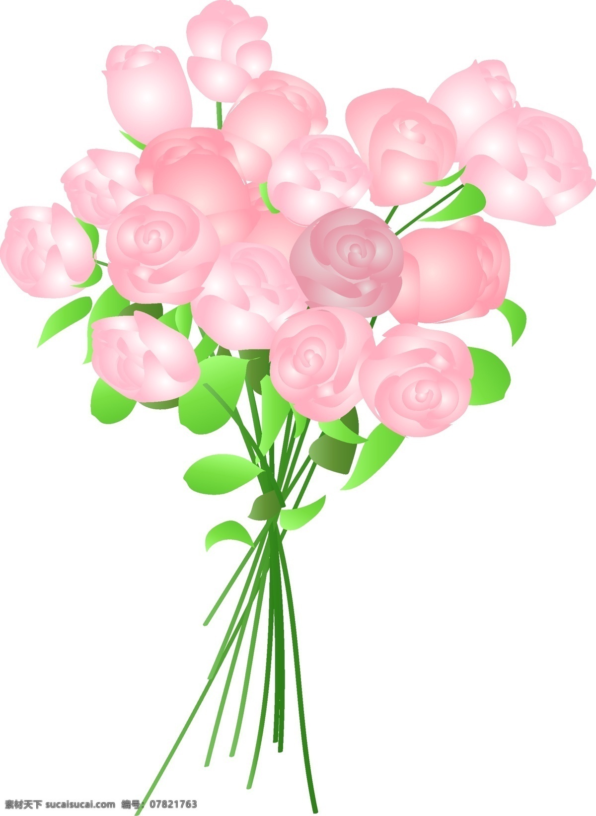 束 粉色 玫瑰花 图 情人节 粉色玫瑰花 花朵 粉玫瑰 植物 绿植 叶子 一束花 鲜花 免抠图