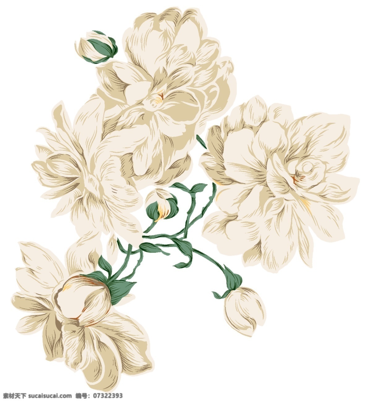 彩绘花草 韩式花纹 psd0673 设计素材 花草主题 装饰图案 psd源文件 白色