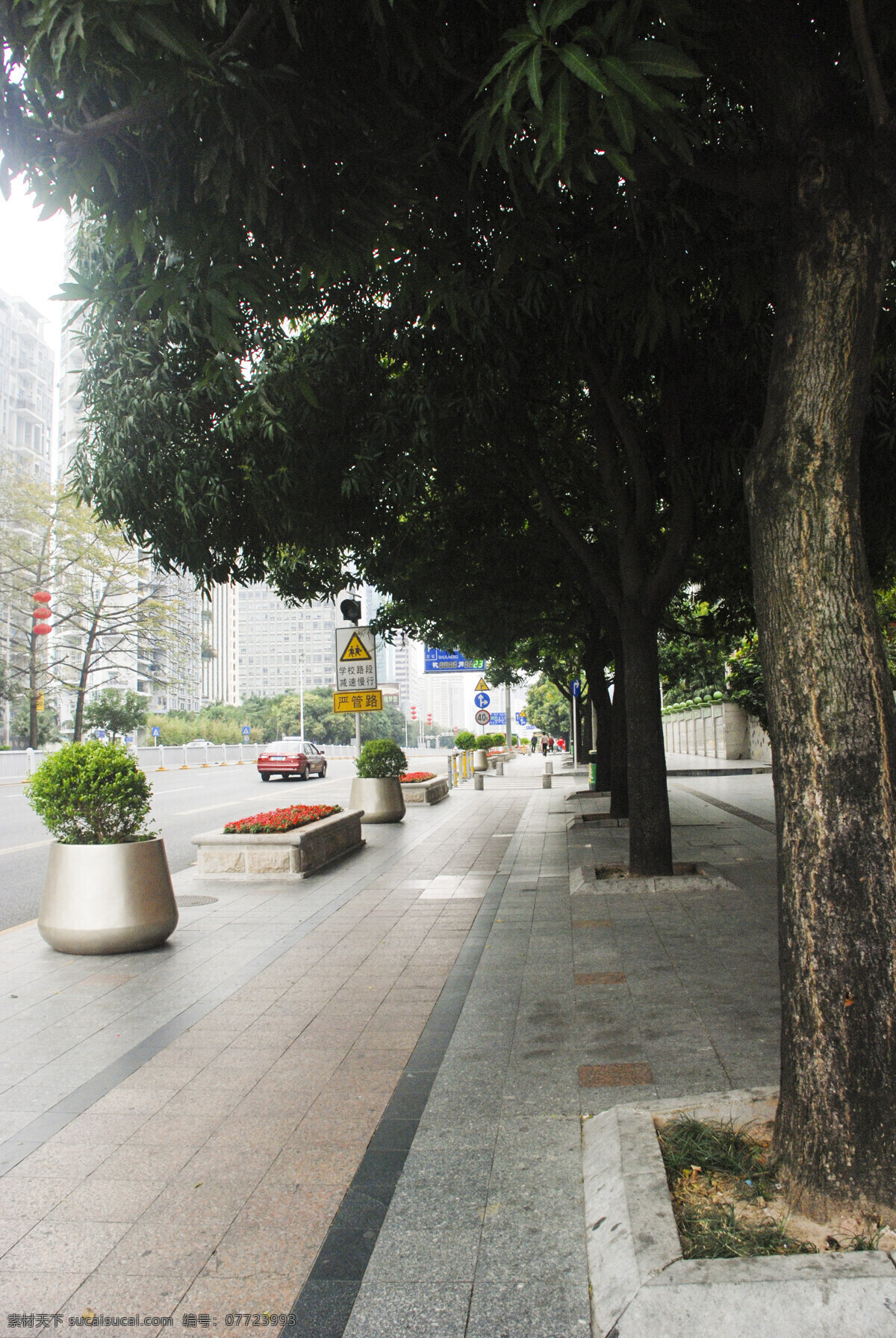 深圳街景风光 深圳 街景 城市风光 绿树街道 人行道 建筑 旅游摄影 国内旅游 黑色